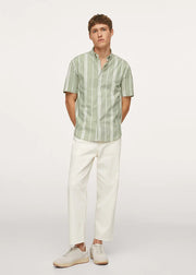 Crocodile Green Stripe Printed Shirt